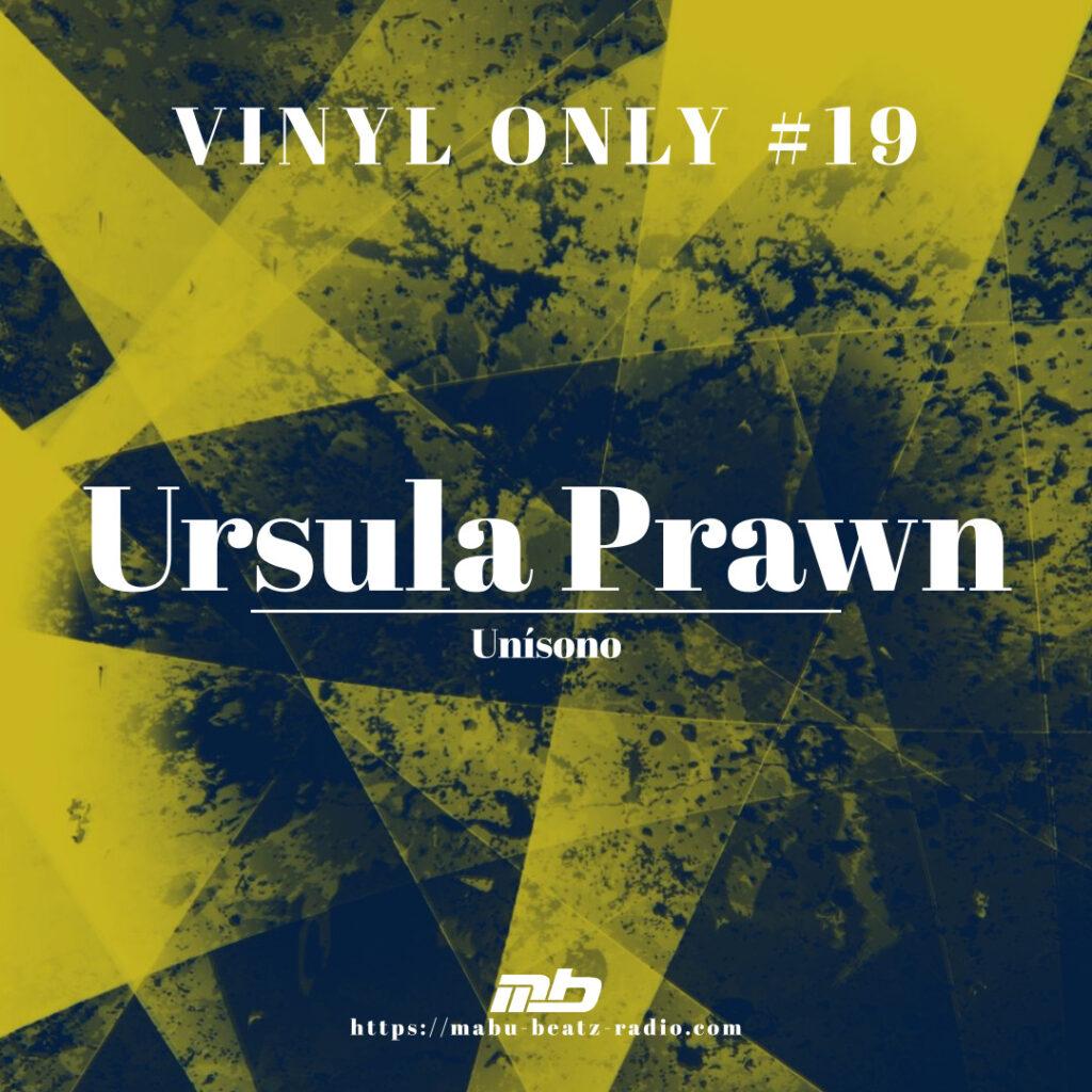 Vinyl Only #19 mixed by Ursula Prawn